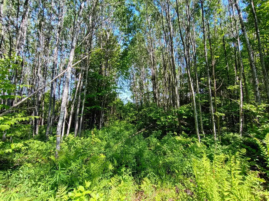 Acres Neuberger Rd #+/- 55.77, Glidden, WI 54527 - #3