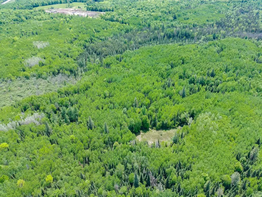 Acres Neuberger Rd #+/- 74.40, Glidden, WI 54527 - #2