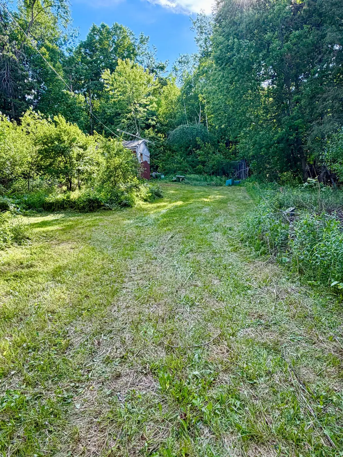 4425 Hwy 32, Laona, WI 54541 - #1