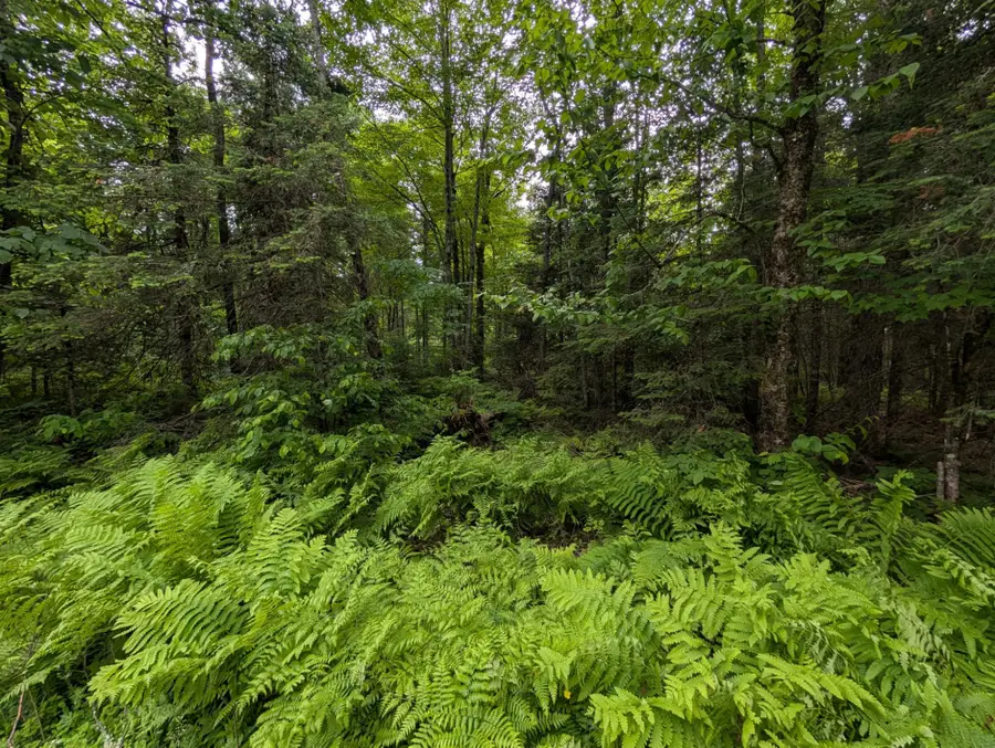 Lot 2 Davies Rd, Phelps, WI 54554 - #2