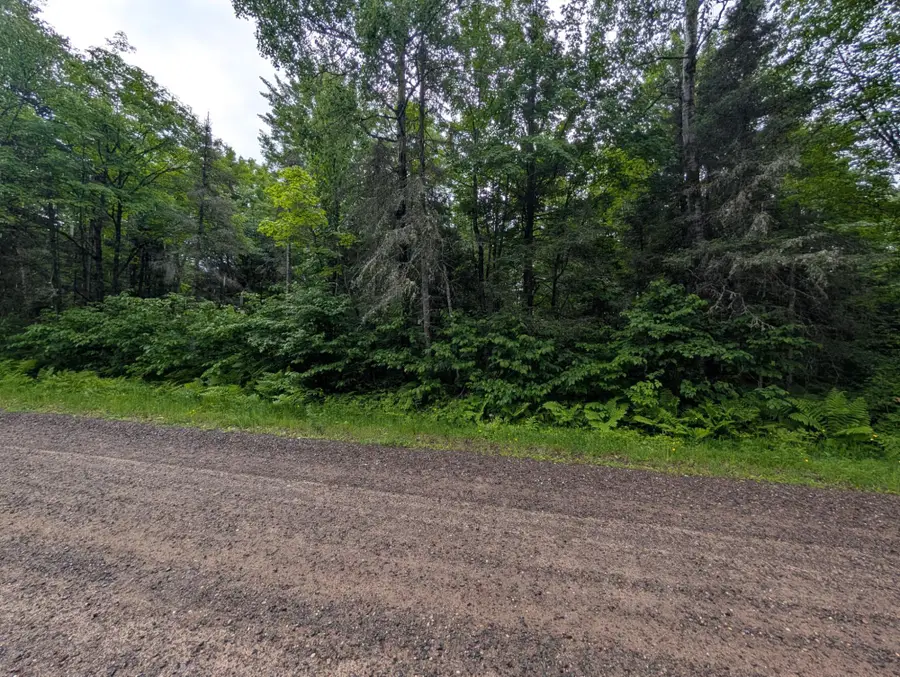 Lot 2 Davies Rd, Phelps, WI 54554 - #3