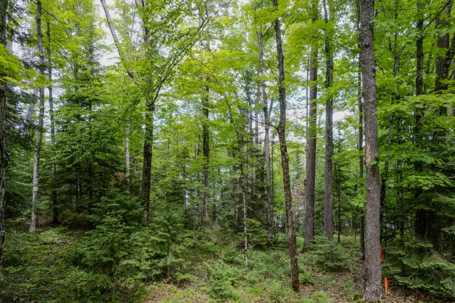 ON Wayne Dr, Presque Isle, WI 54557 - #3