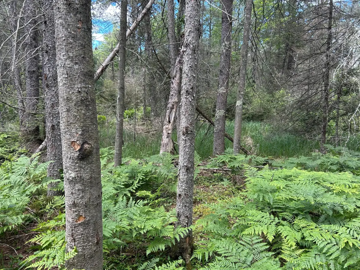 Lot off Melody Dr, Saint Germain, WI 54558 - #1