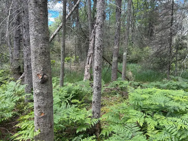 Lot off Melody Dr, St Germain, WI 54558