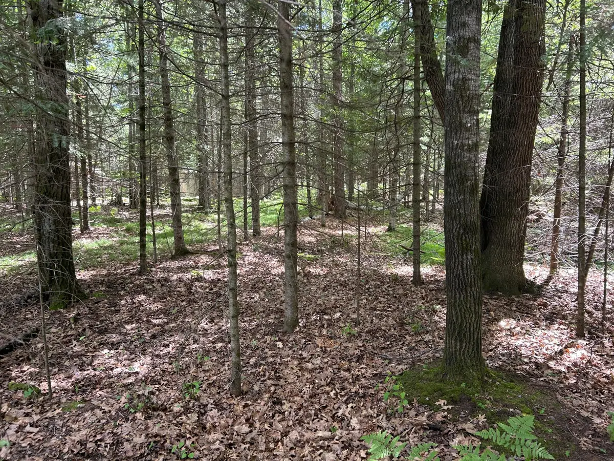 6389 Cth J, Saint Germain, WI 54558 - #1