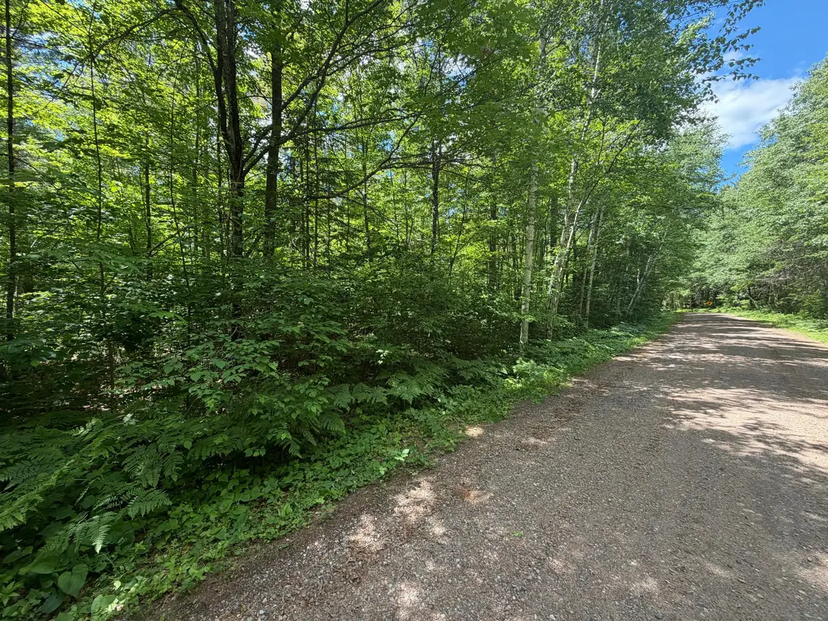 Lot 2 Maplestone Rd, Minocqua, WI 54548 - #1
