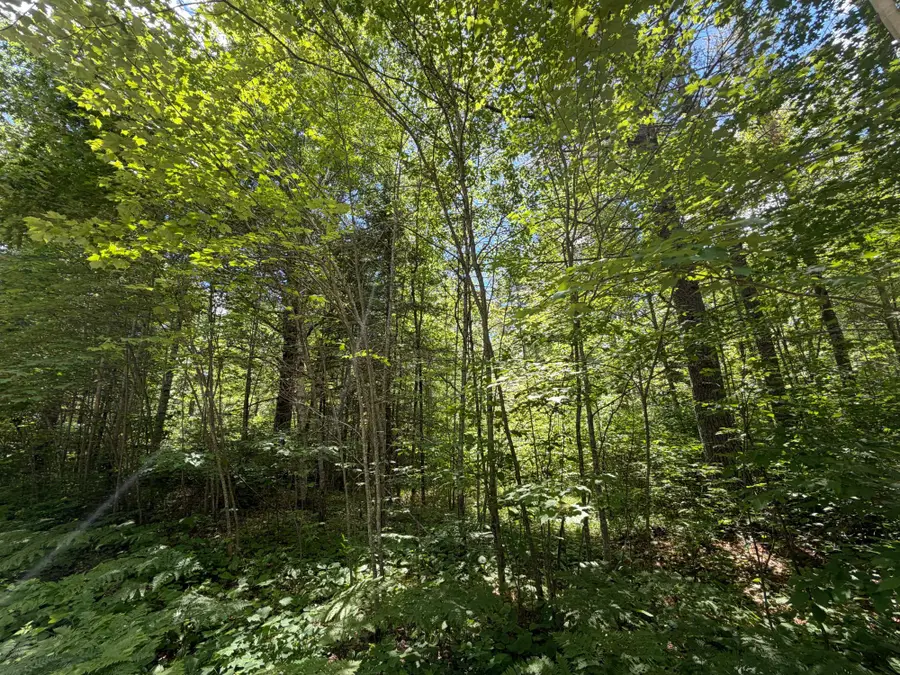 Lot 2 Maplestone Rd, Minocqua, WI 54548 - #2