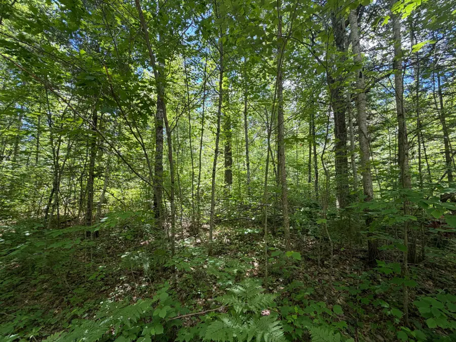 Lot 2 Maplestone Rd, Minocqua, WI 54548 - #3