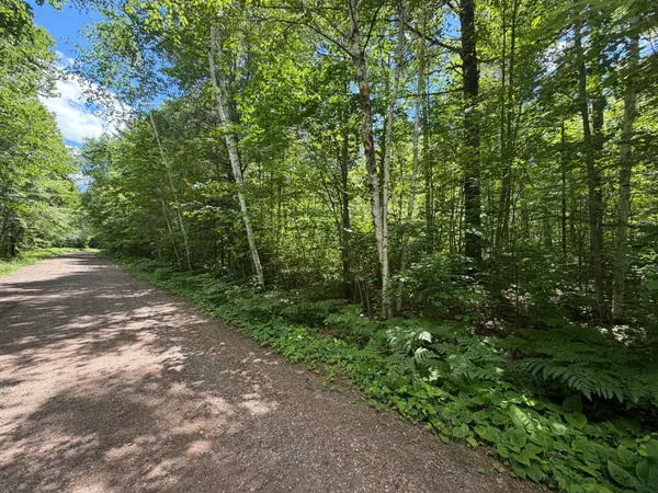 Lot 1 Maplestone Rd, Minocqua, WI 54548