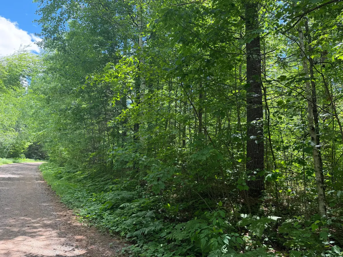 Lot 30 Maplestone Rd, Minocqua, WI 54548 - #1