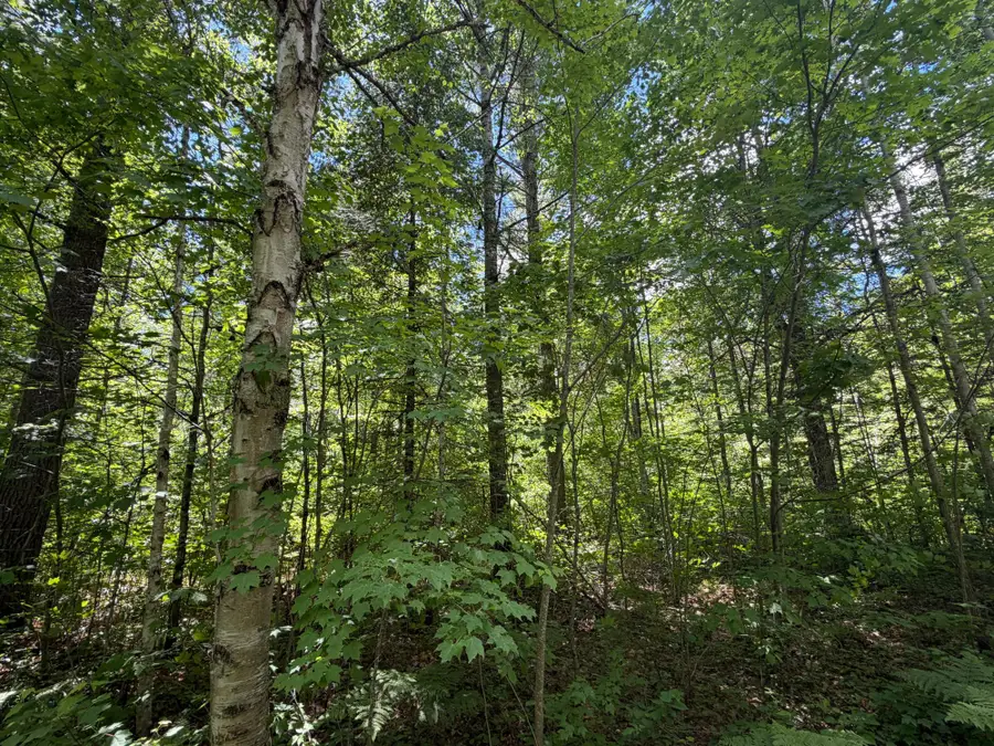 Lot 30 Maplestone Rd, Minocqua, WI 54548 - #2