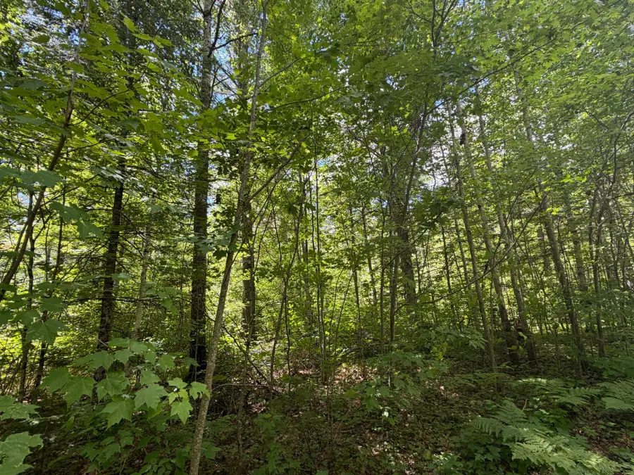 Lot 30 Maplestone Rd, Minocqua, WI 54548 - #3