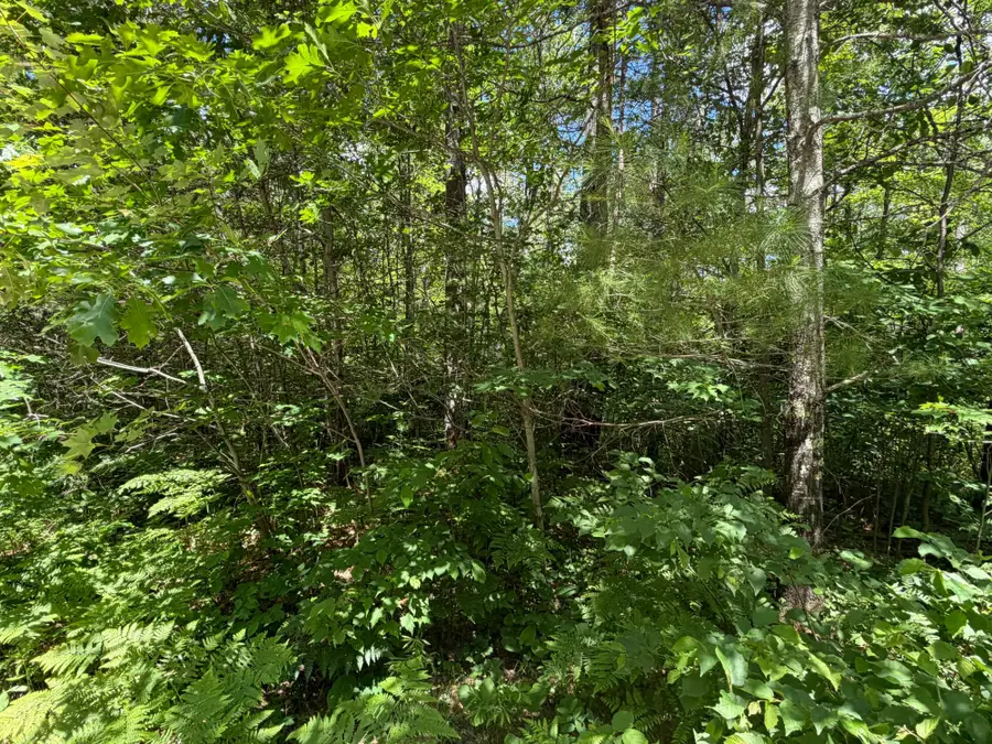 Lot 12 Flintrock Dr, Minocqua, WI 54548 - #2