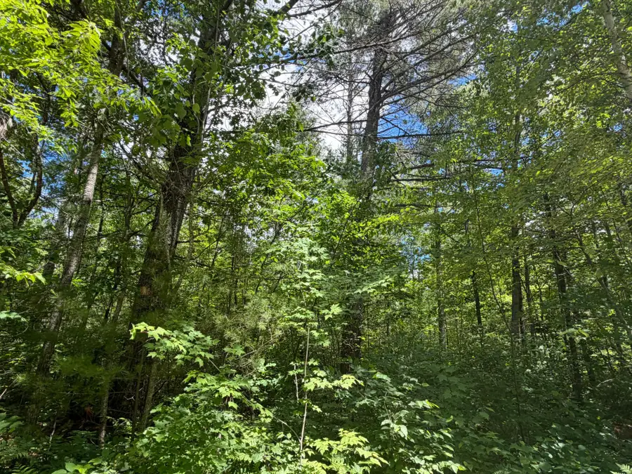 Lot 12 Flintrock Dr, Minocqua, WI 54548 - #3