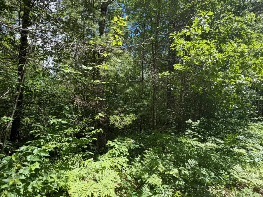 Lot 11 Flintrock Dr, Minocqua, WI 54548 - #2
