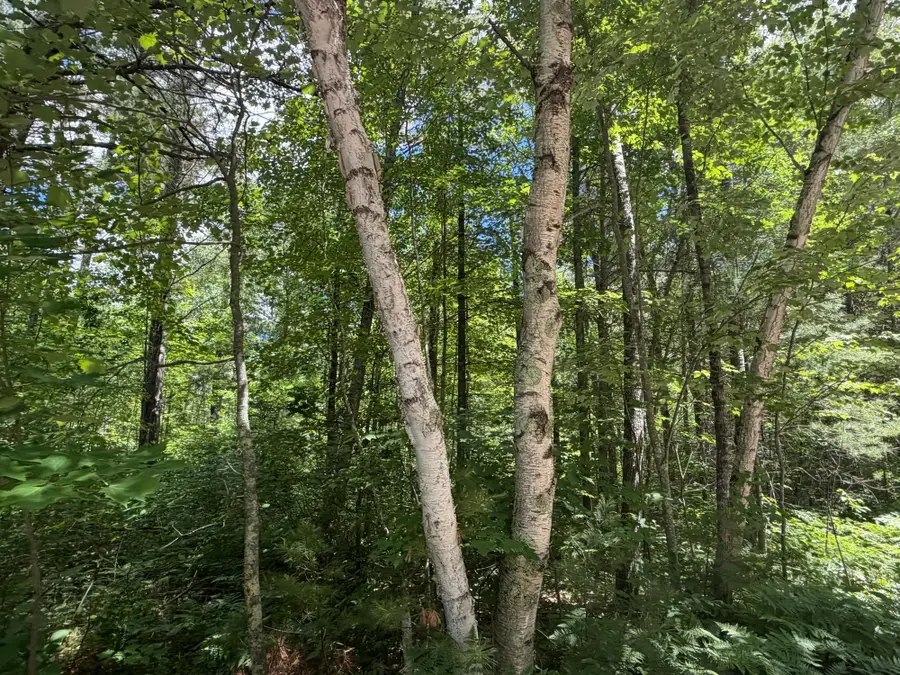 Lot 11 Flintrock Dr, Minocqua, WI 54548 - #3