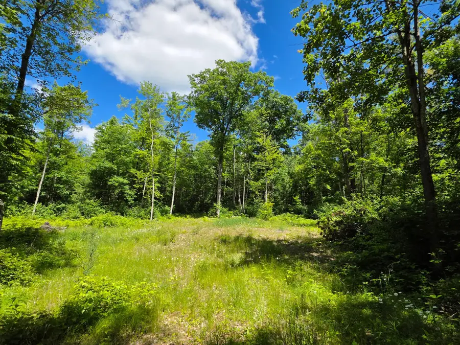 N11478 Cottage Rd, Tomahawk, WI 54487 - #2