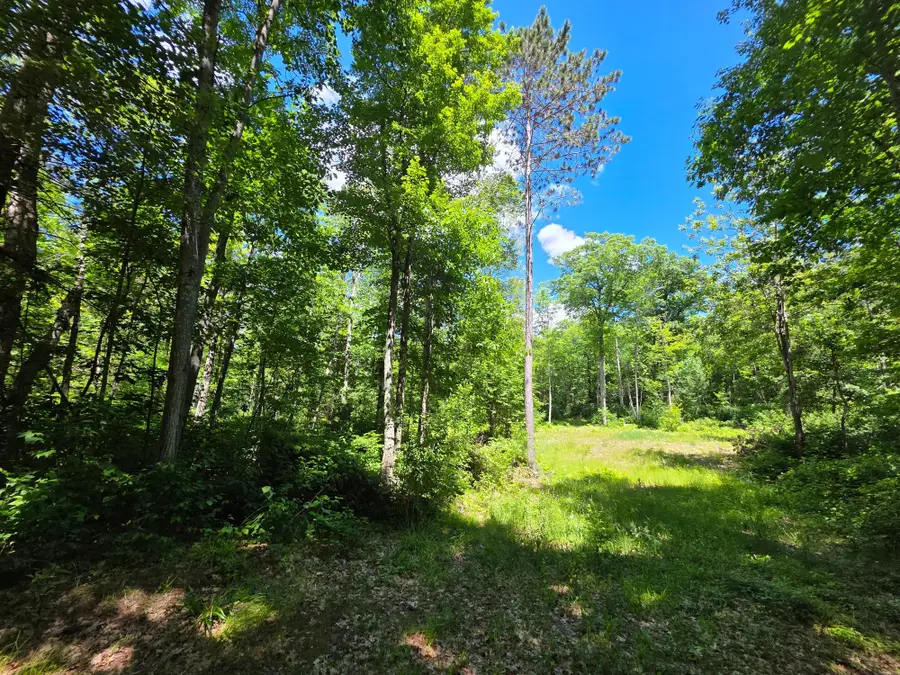 N11478 Cottage Rd, Tomahawk, WI 54487 - #3