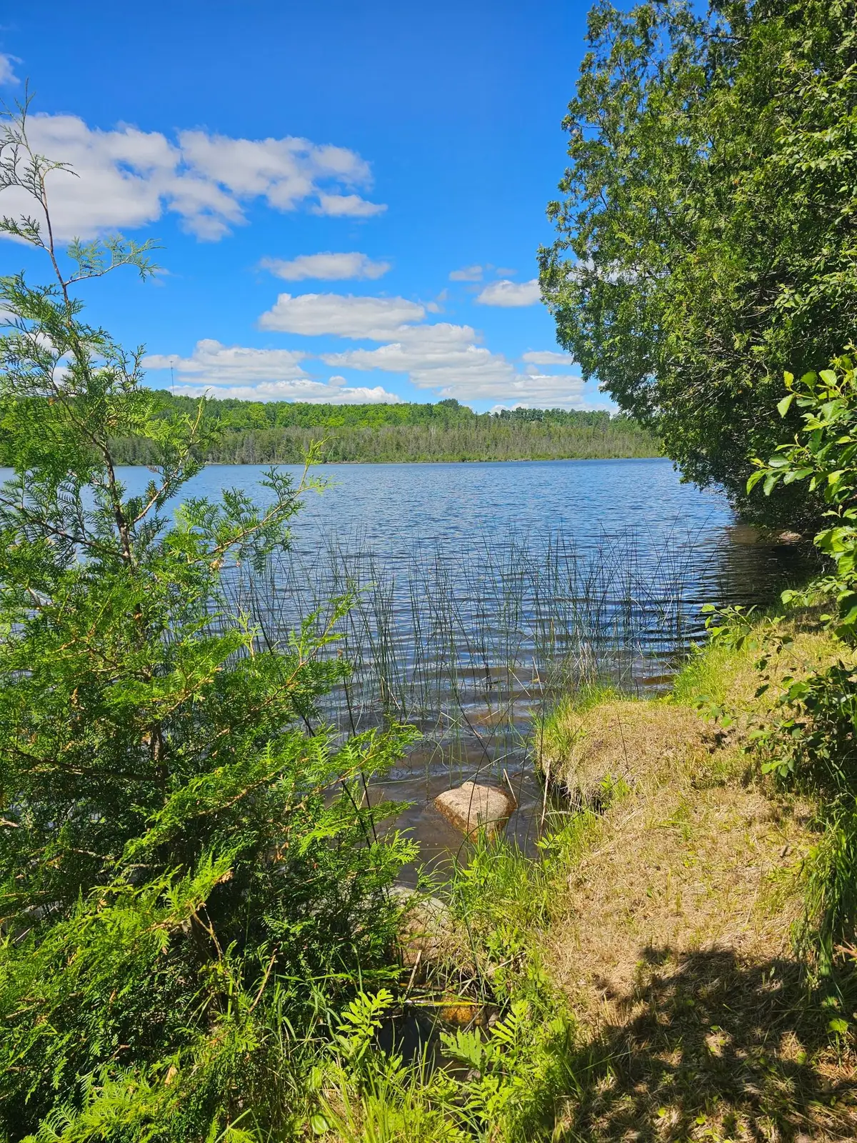 1441 Range Line Lake Ln, Wabeno, WI 54566 - #1
