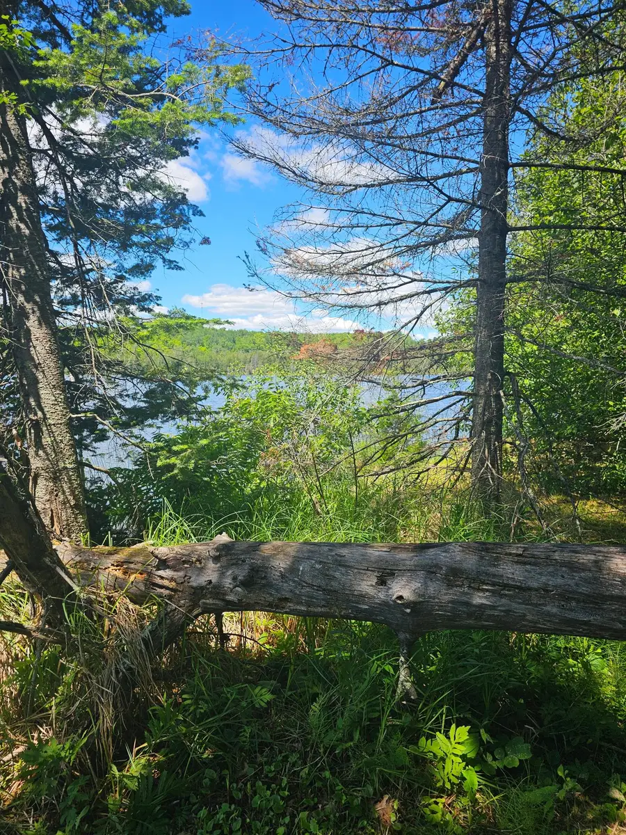 1441 Range Line Lake Ln, Wabeno, WI 54566 - #2