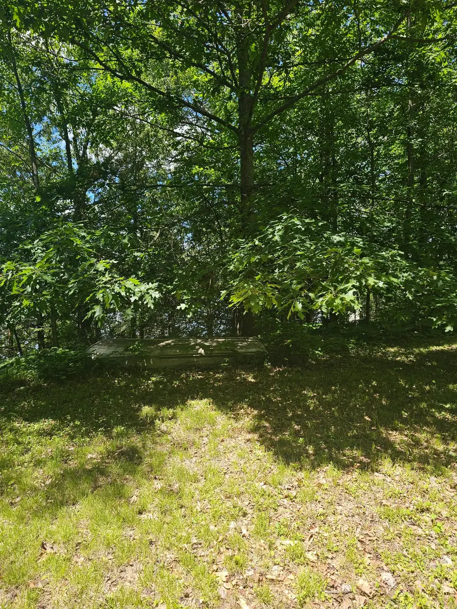 1441 Range Line Lake Ln, Wabeno, WI 54566 - #3