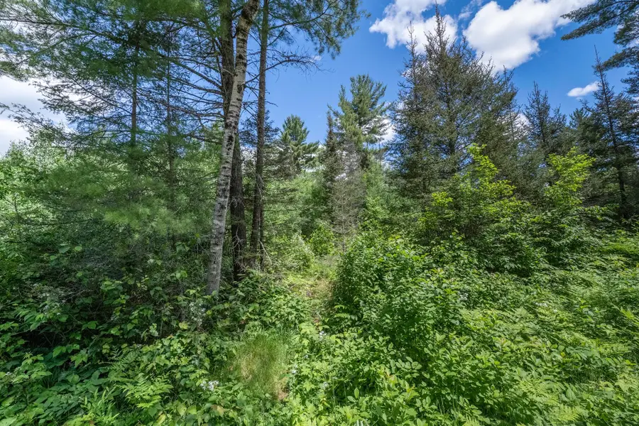Off Deerskin Rd #7, Eagle River, WI 54521 - #3