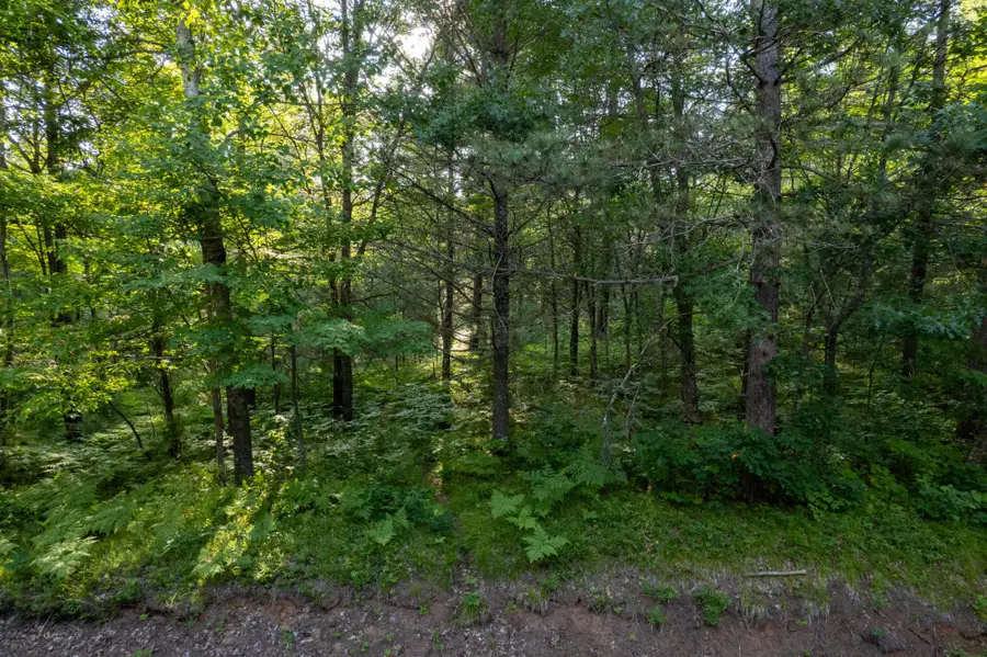 Lot 4-6 Dads Lake Rd, Eagle River, WI 54521 - #2