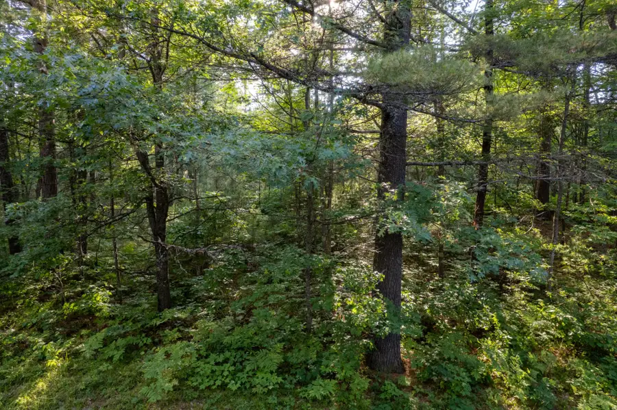 Lot 2 Dads Lake Rd, Eagle River, WI 54521 - #2