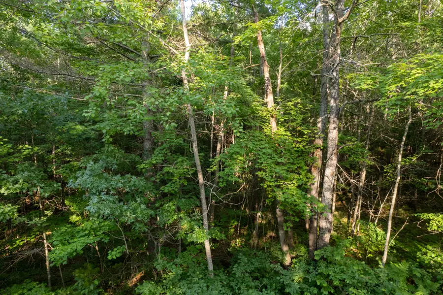 Lot 2 Dads Lake Rd, Eagle River, WI 54521 - #3