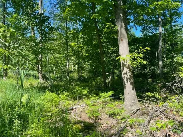 ON Shawano Line Rd, Gillett, WI 54124 - #1