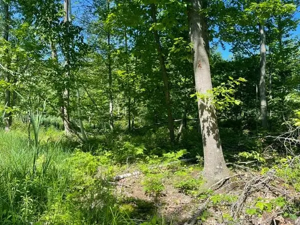 ON Shawano Line Rd, Green Valley Town, WI 54124