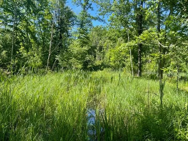 ON Shawano Line Rd, Gillett, WI 54124 - #2