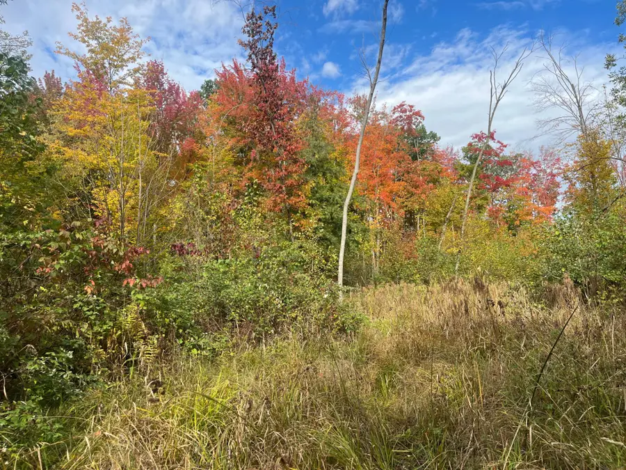 ON Shawano Line Rd, Gillett, WI 54124 - #3
