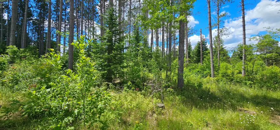Lot 2 Baade Rd, Monico, WI 54501 - #3
