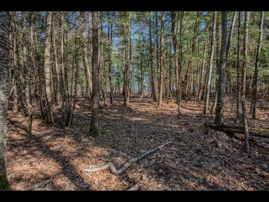 Lot 19 Memory Ln, Eagle River, WI 54521 - #3