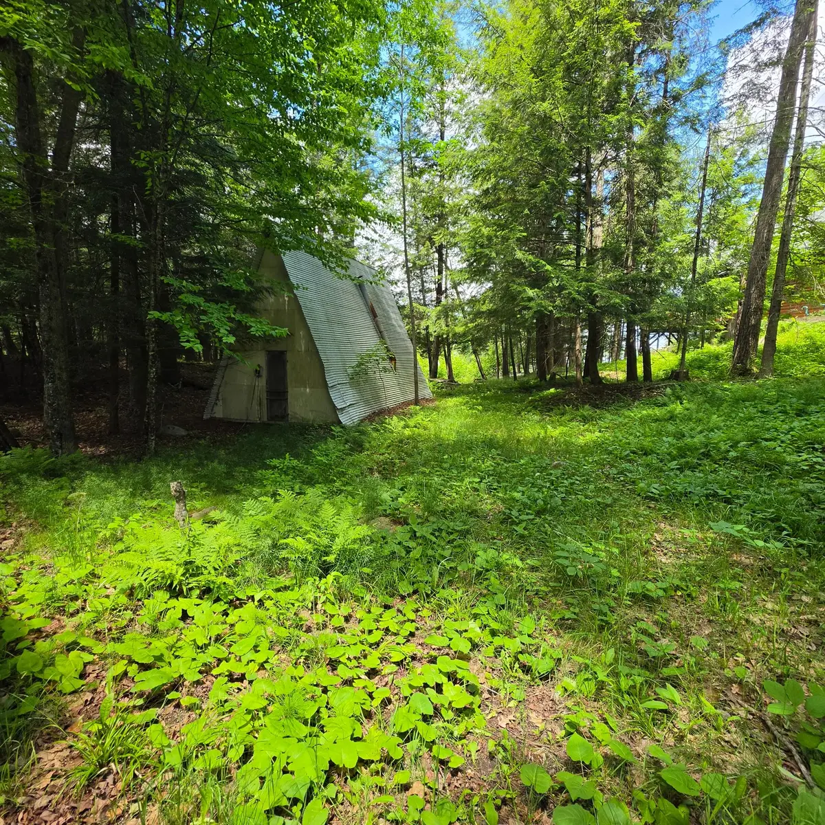 9026 Mushroom Ln, Pickerel, WI 54465 - #1