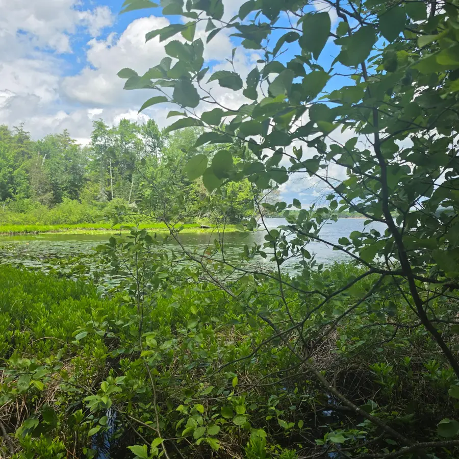 9026 Mushroom Ln, Pickerel, WI 54465 - #2