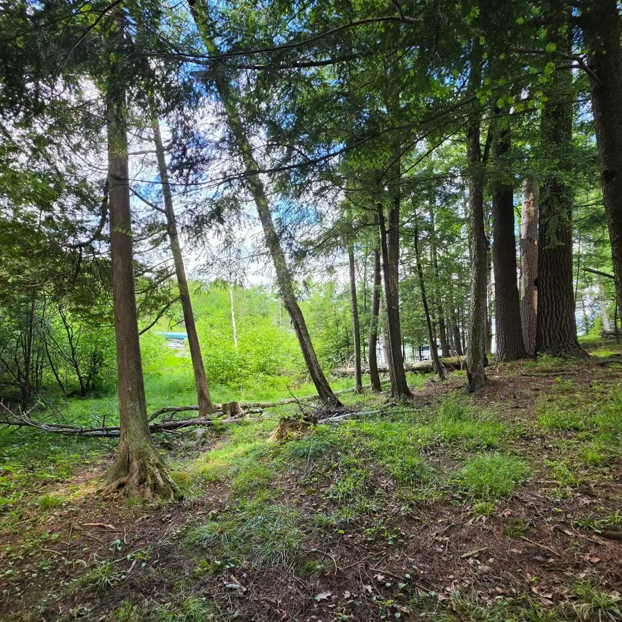 9026 Mushroom Ln, Pickerel, WI 54465 - #3