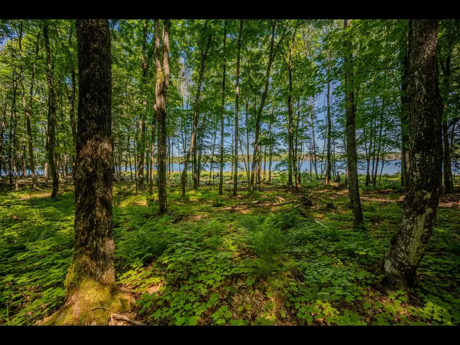 Lt 11-15 Briar Ln, Land O Lakes, WI 54540 - #3
