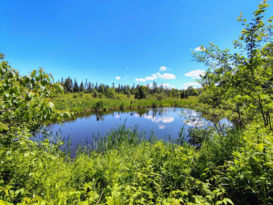 26534 Schoch Rd, Glidden, WI 54527 - #2