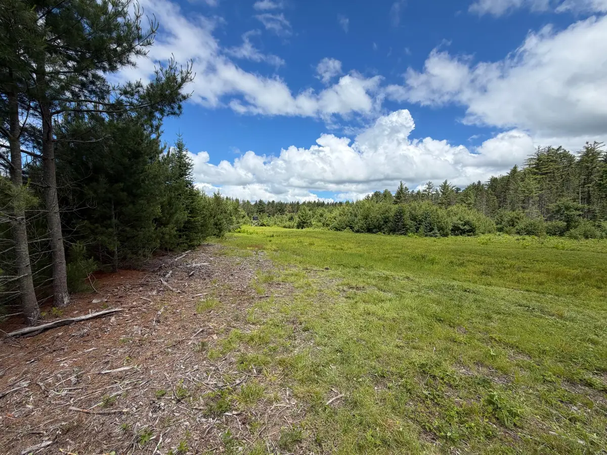 5566 Mcnaughton Ln, Lake Tomahawk, WI 54539 - #1
