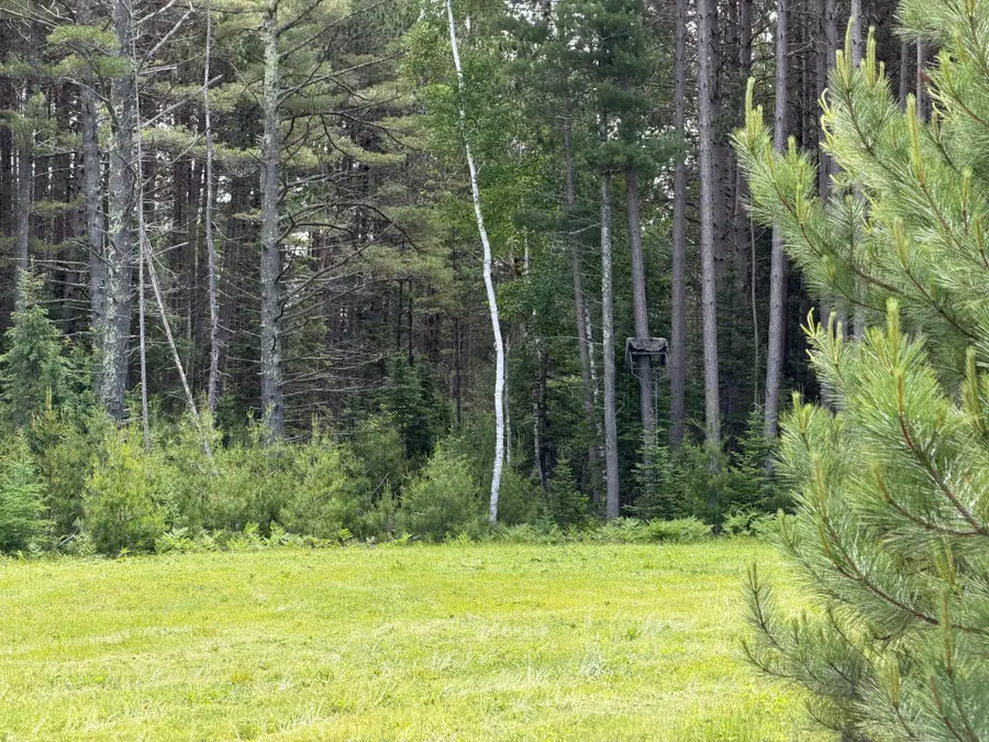 5566 Mcnaughton Ln, Lake Tomahawk, WI 54539 - #2