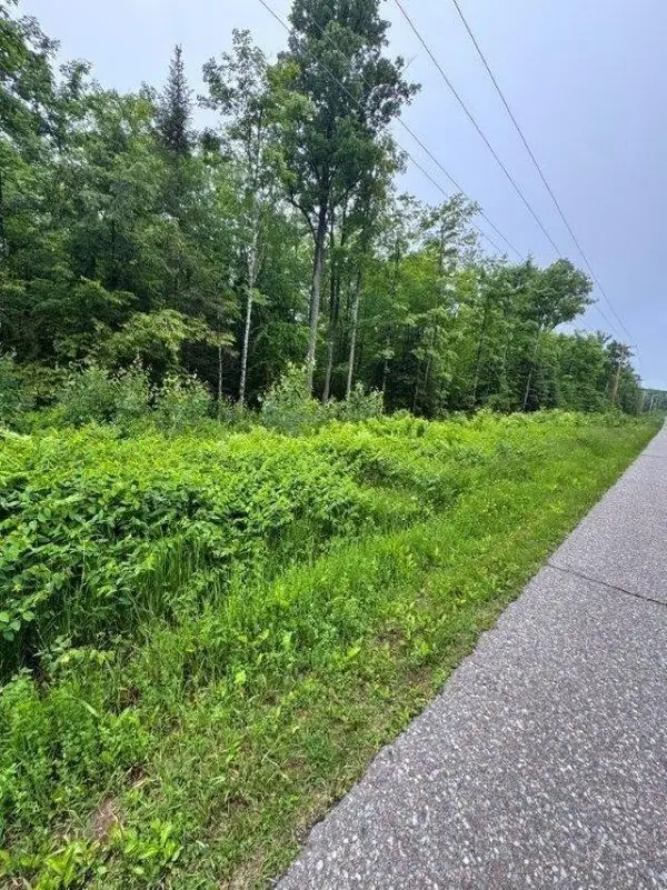 Lot 4 Old Hwy 2, Watersmeet, MI 49969