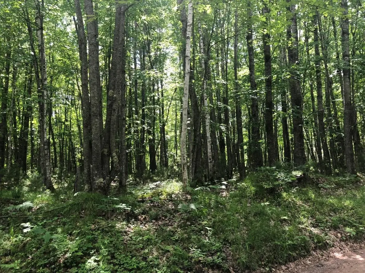 Lot on Star Lake Rd, Conover, WI 54519 - #1