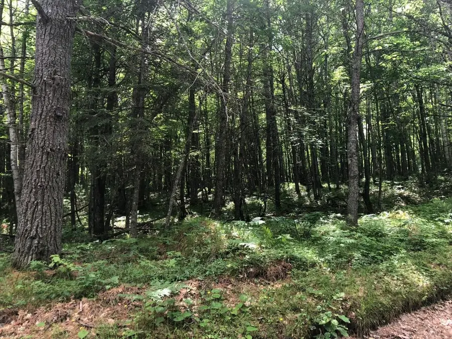 Lot on Star Lake Rd, Conover, WI 54519 - #3