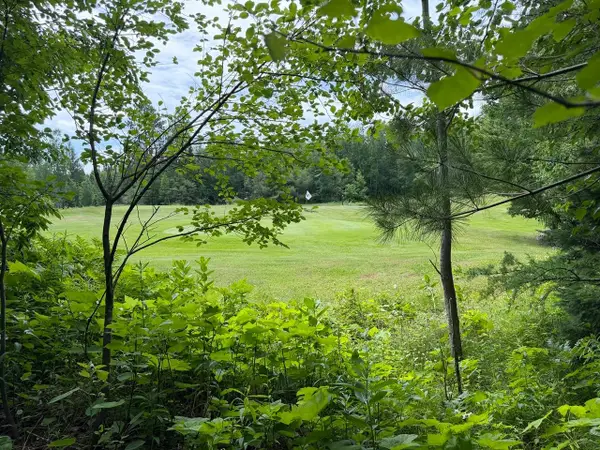 Lot 2 Tahoe Cr, Mercer, WI 54547