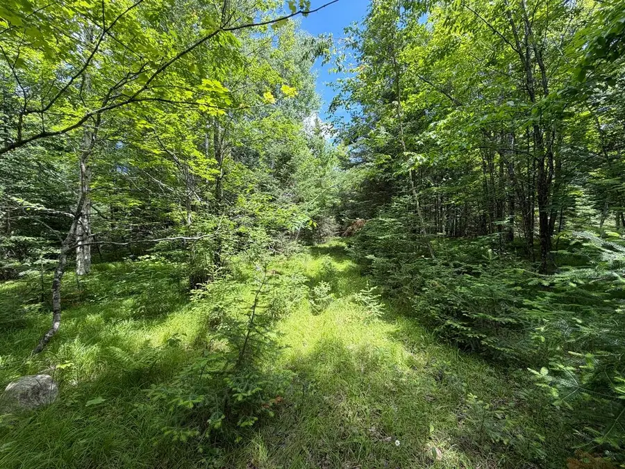 Lot 2 Tahoe Cr, Mercer, WI 54547 - #2