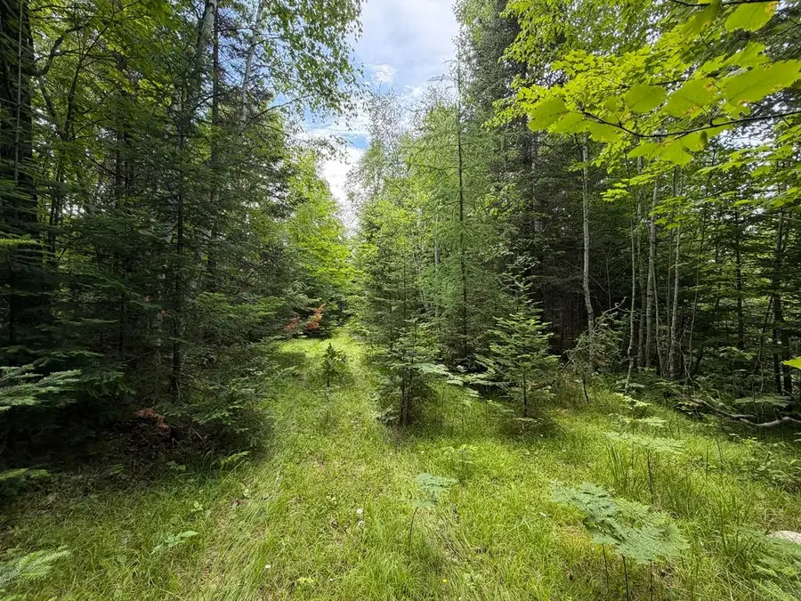 Lot 2 Tahoe Cr, Mercer, WI 54547 - #3