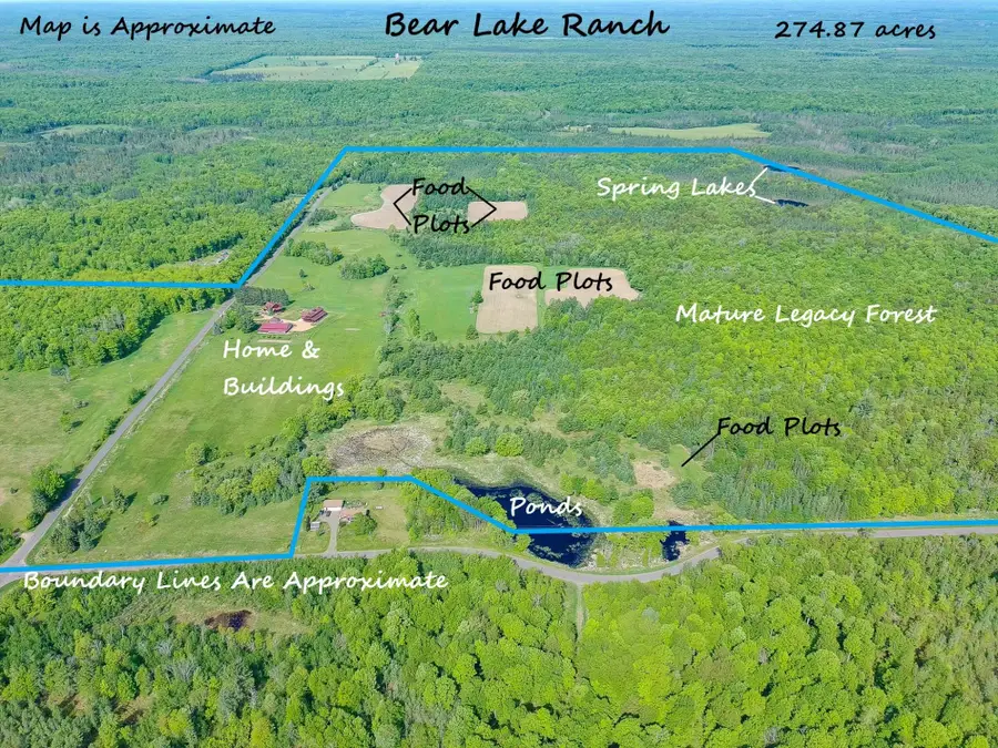76248 Bear Lake Rd, Butternut, WI 54514 - #2