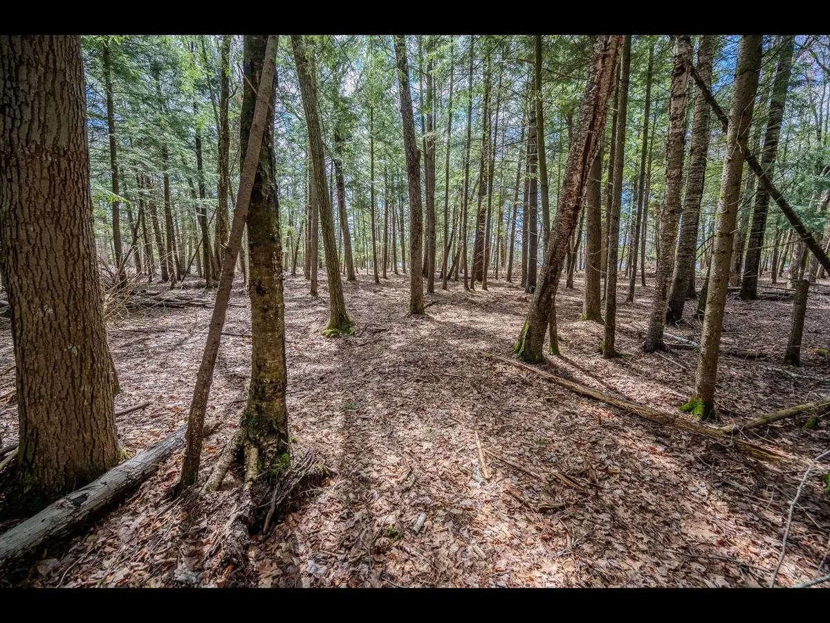 Lot 21 Bonita Pt, Three Lakes, WI 54521 - #1